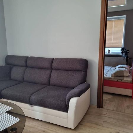 Pas Romaną Jeziorosy Zewnętrze zdjęcie