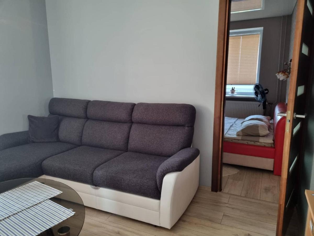 Pas Romaną Jeziorosy Zewnętrze zdjęcie